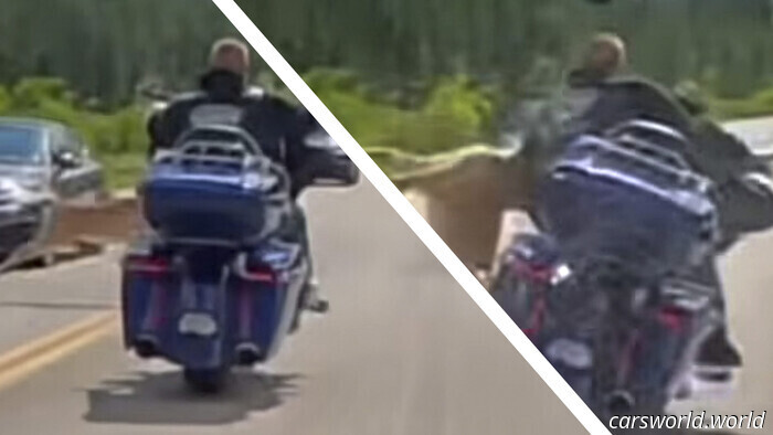 Cavaliere Harley colpisce un cervo a tutta velocità e in qualche modo non cade mai | Carscoops